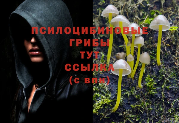 мдпв Абинск