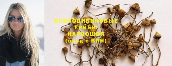 спайс Абдулино