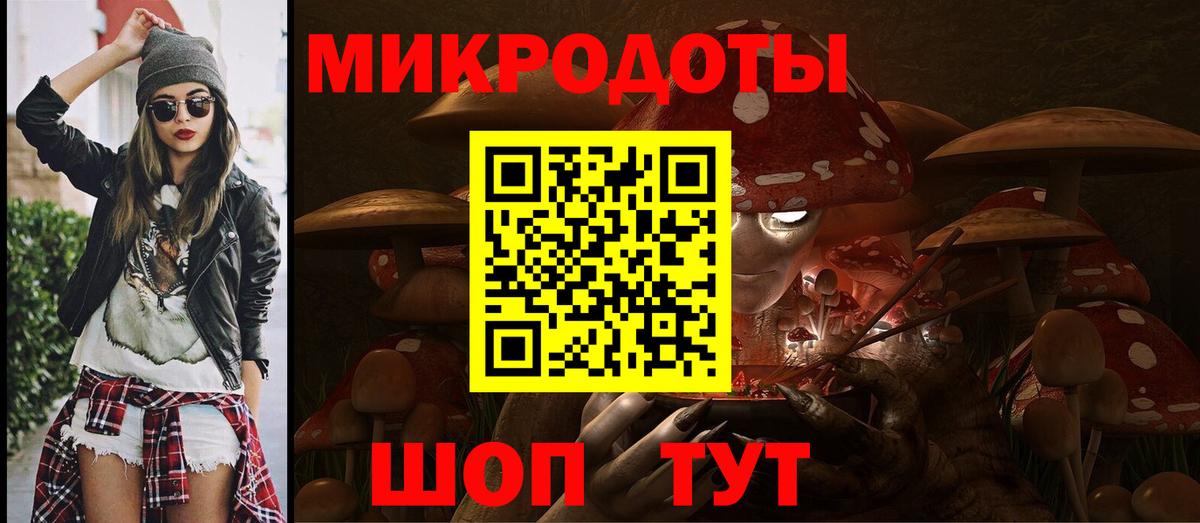 Галлюциногенные грибы Psilocybine cubensis Кинешма