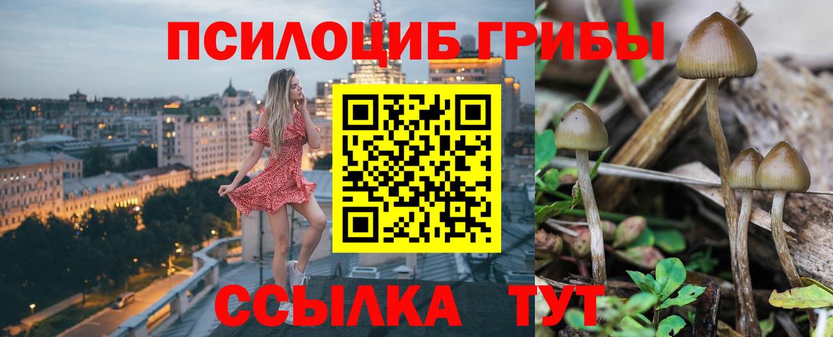 Кинешма  Галлюциногенные грибы Psilocybe  Вход с VPN 