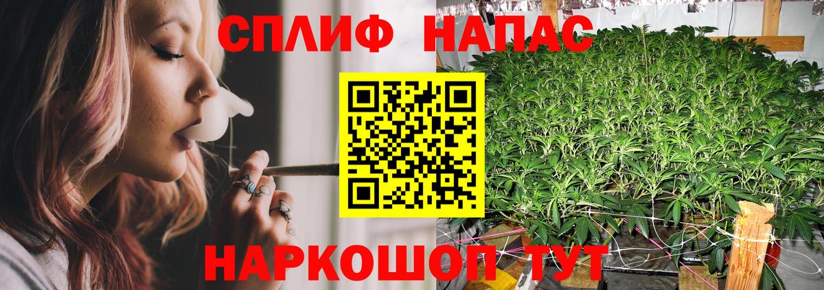 МАРИХУАНА ГИДРОПОН  Канабис тримм  Вход с VPN  Марихуана Bruce Banner  Кинешма  Каннабис VHQ 